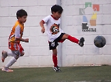 Alebrijes Chiapas se corona en la categoría Pony de la Liga TF7_13