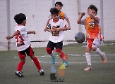 Alebrijes Chiapas se corona en la categoría Pony de la Liga TF7_5