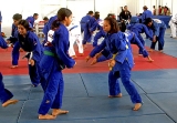 Alianza de Judocas realiza Seminario de Judo 2023 en instalaciones del Instituto del Deporte_1