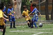 Boca Juniors remonta y vence a Conejos Dorados _20