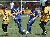 Boca Juniors remonta y vence a Conejos Dorados _3