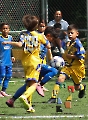 CEFOR Campestre logra su pase a semifinales_10