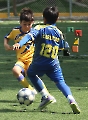 CEFOR Campestre logra su pase a semifinales_11