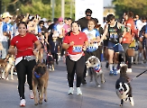 Celebran la Canrrera Dejando Huella 2026_10