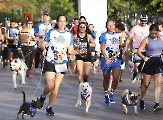 Celebran la Canrrera Dejando Huella 2026_11