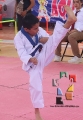 Celebran 14 años de Gallitos Olímpicos _58