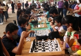 Club de Ajedrez Infantil realizó Torneo de Ajedrez_4