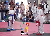 Colegio Japonés Genki School realizó el Torneo Amistoso de Karate “Meiyo No Kokoro Taikai”_62