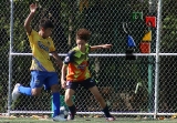 Dragones logró su pase a semifinales_17