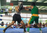 Exitosa función de Box Amateur con el Campeonato por el Autismo