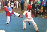 Formas y Combates culminan la 16ª Copa Centro TKD Panamericano_70