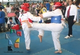Formas y Combates culminan la 16ª Copa Centro TKD Panamericano_72