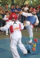 Formas y Combates culminan la 16ª Copa Centro TKD Panamericano_83