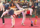 Formas y Combates culminan la 16ª Copa Centro TKD Panamericano_9