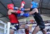 Jaguares Berisanz, gran anfitrión del Campeonato del Sureste Mexicano ‘Guerrero Jaguar’_43