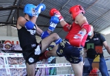 Jaguares Berisanz, gran anfitrión del Campeonato del Sureste Mexicano ‘Guerrero Jaguar’_44