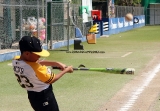 Liga Municipal de Softbol realizó convivio entre padres e hijos