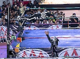 Locura total en la Plaza de Toros San Roque con las Estrellas de AAA_55