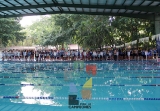 Maratónica 4ta Edición Viva La Natación: Primavera Veloz_16