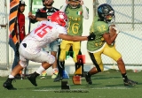 Osos, campeón de la categoría juvenil_29