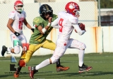 Osos, campeón de la categoría juvenil_32