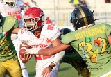 Osos, campeón de la categoría juvenil_33
