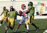 Osos, campeón de la categoría juvenil_34