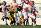 Osos, campeón de la categoría juvenil_6