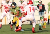 Osos, campeón de la categoría juvenil_8