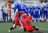 Osos de Chiapas cazó a Borregos en OEFA _12