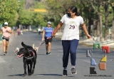 Participación récord en la 3ª edición “Corre con tu Mascota”_18