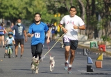 Participación récord en la 3ª edición “Corre con tu Mascota”_21