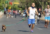 Participación récord en la 3ª edición “Corre con tu Mascota”_23