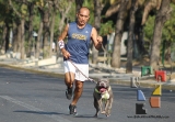 Participación récord en la 3ª edición “Corre con tu Mascota”_4