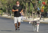 Participación récord en la 3ª edición “Corre con tu Mascota”_9