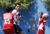 Pavones a prueba de rayos_41