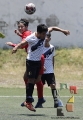 Pavones a prueba de rayos_5