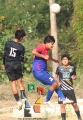 Pavones le quita el invicto a Venados _17