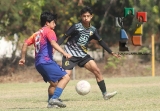 Pavones le quita el invicto a Venados _31