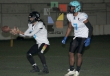 Raptors, campeón del Arena Intermedia _2