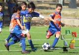 San Cristóbal La Escuelita se corona en la Pony_12