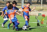 San Cristóbal La Escuelita se corona en la Pony_13