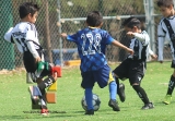 San José Terán, campeón en la categoría Pony_25