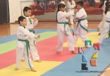 Selección Lobos de Chiapas realizó examen de grados kup_25