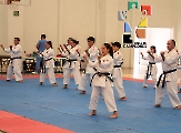 Shindokan Chiapas efectuó seminario _14
