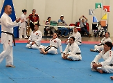 Shindokan Chiapas efectuó seminario _21