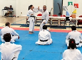 Shindokan Chiapas efectuó seminario _23