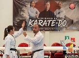Shindokan Chiapas efectuó seminario _25