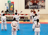 Shindokan Chiapas efectuó seminario _26