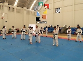 Shindokan Chiapas efectuó seminario _2